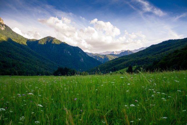 Valley of Heroes, Tjentište , Bosnia and Herzegovina. Photo by Nikola Majksner on Unsplash.