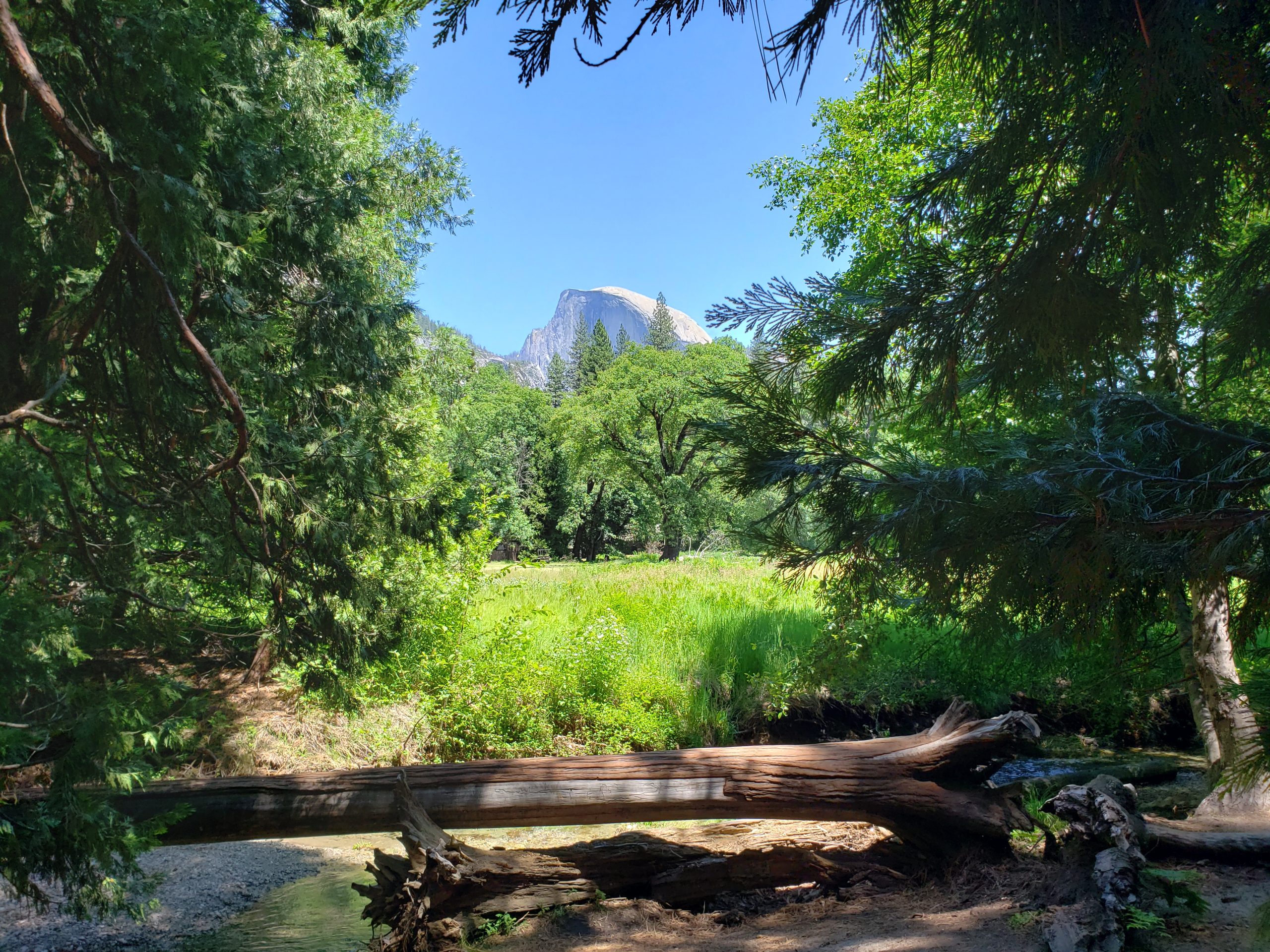 Yosemite Valley, among the trees.