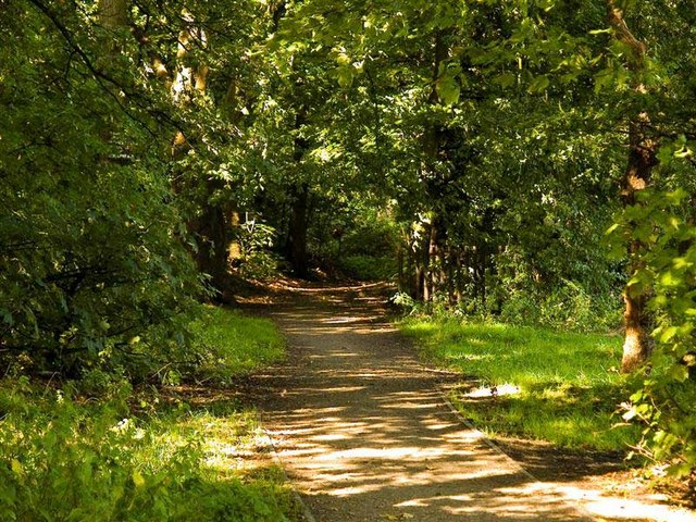 Footpath though Epping Forest, in Epping Upland, Essex. Credit: geograph.org.uk.