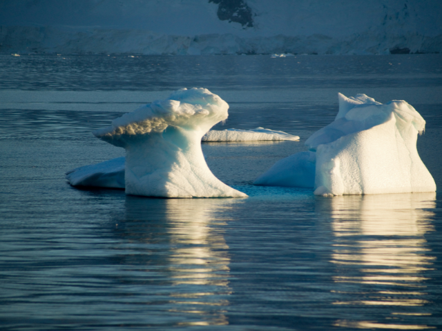 Two Antartica icebergs floating on calm water with intricate, wave-like formations, set against a dark icy landscape in a serene polar environment. Photo by Torsten Dederichs on Unsplash.